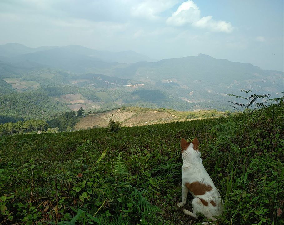 Chiang Mai : Nord de la Thaïlande