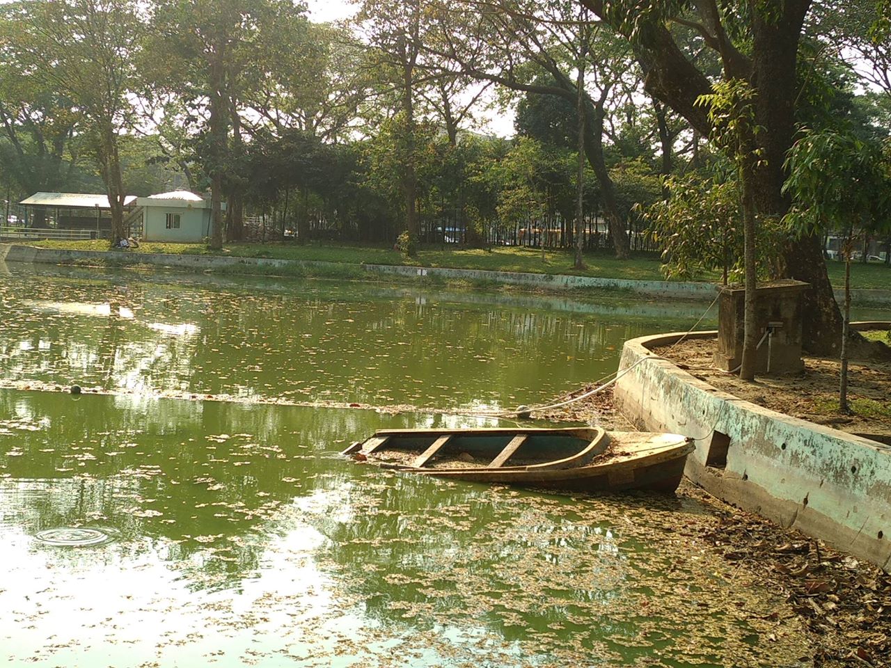 Barque