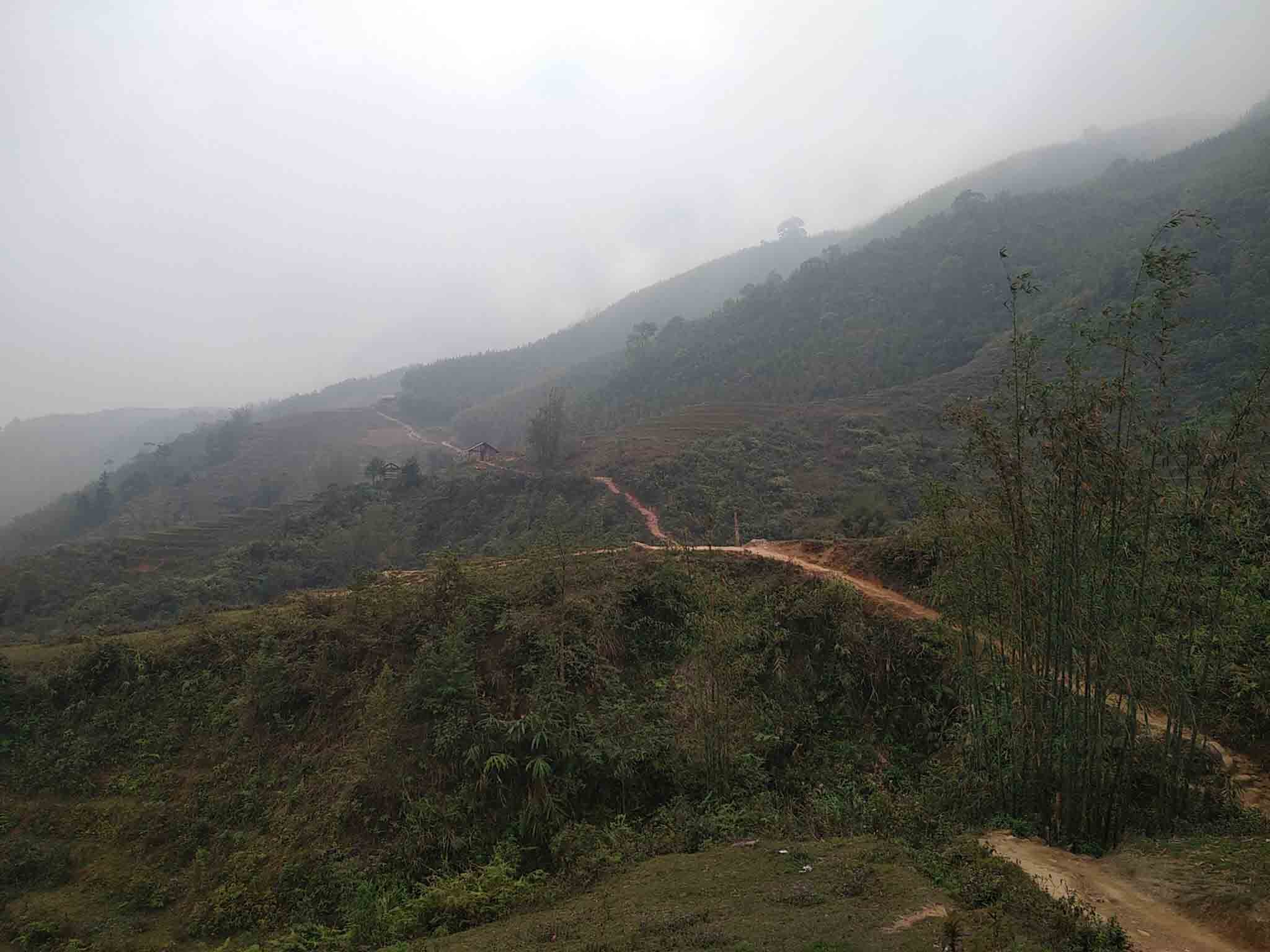 Les terrasses de riz de Sapa
