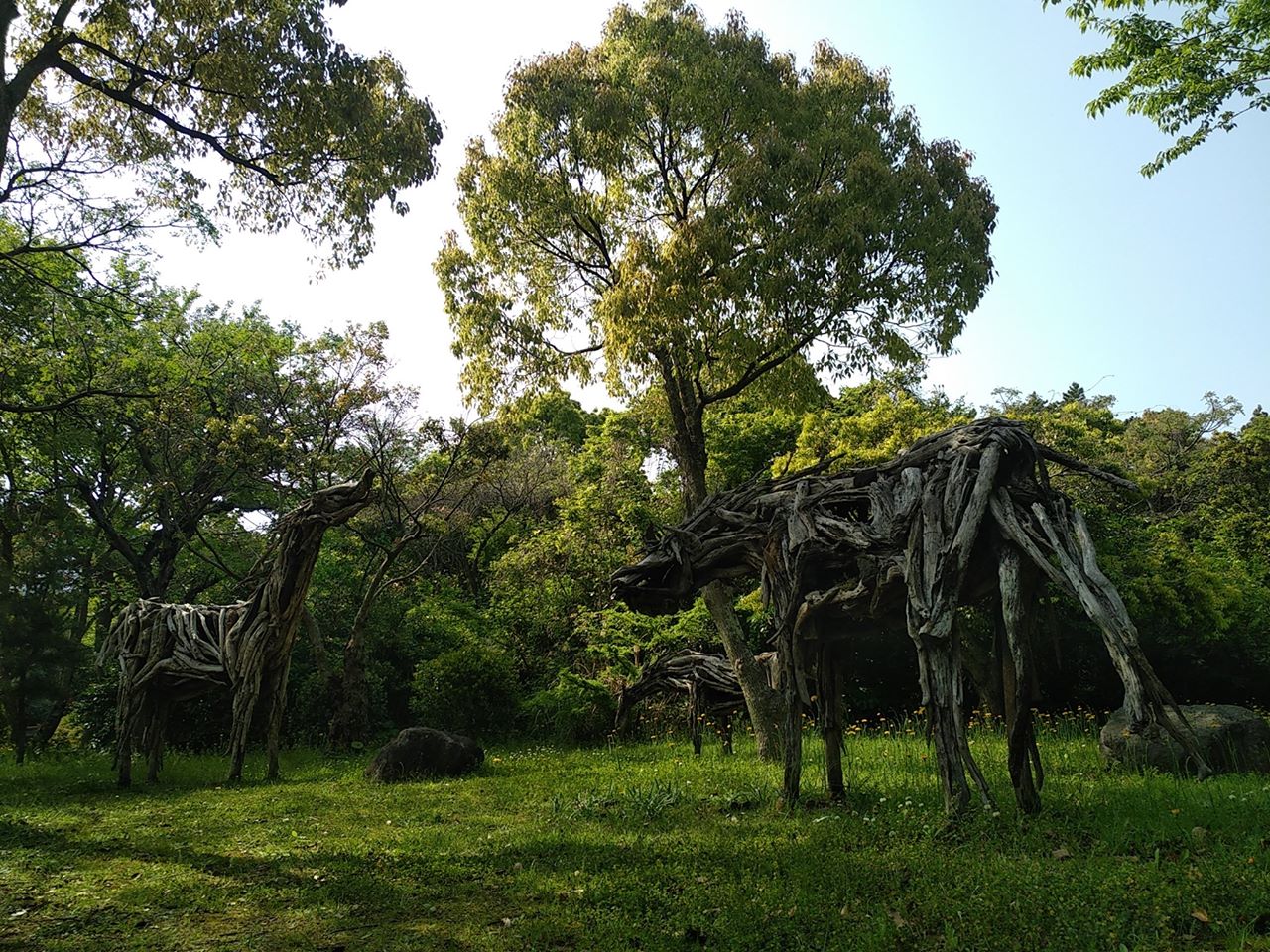 Les esprits de la forêt
