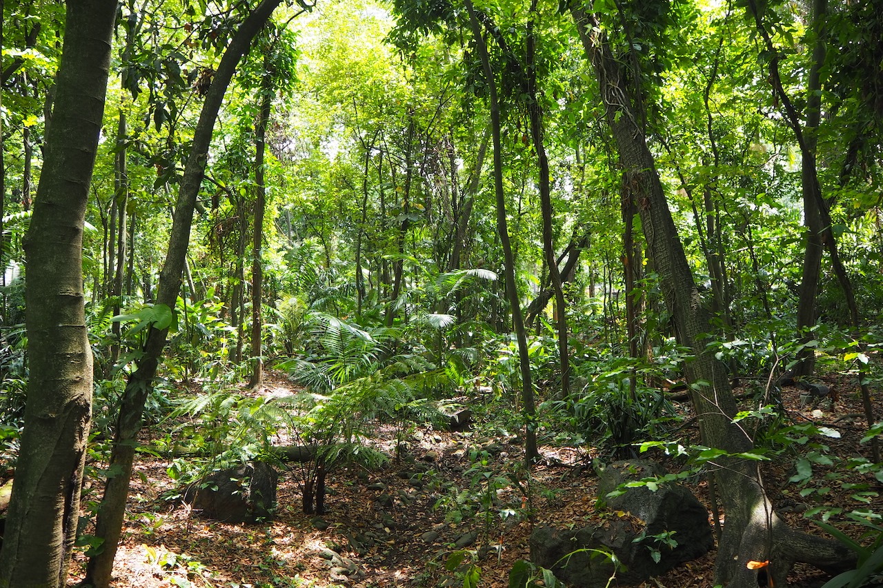 Jardin