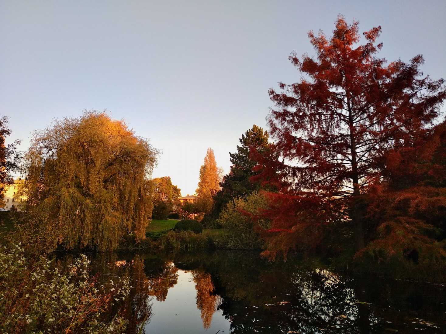 Parc de la citadelle