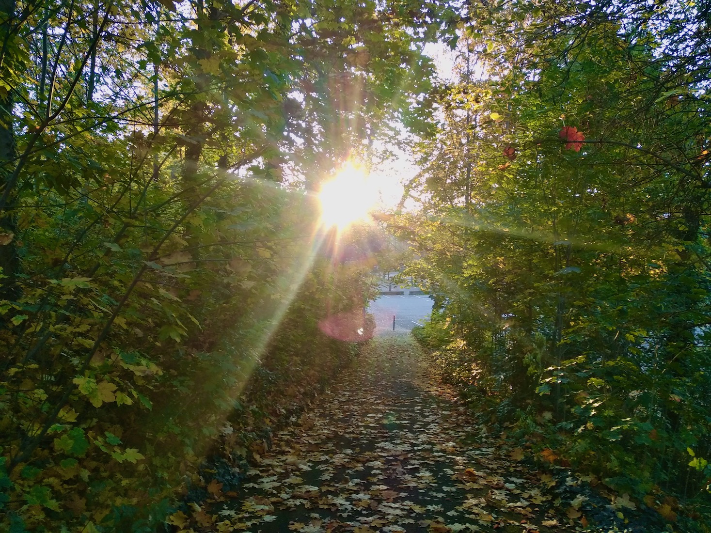 Parc de la citadelle