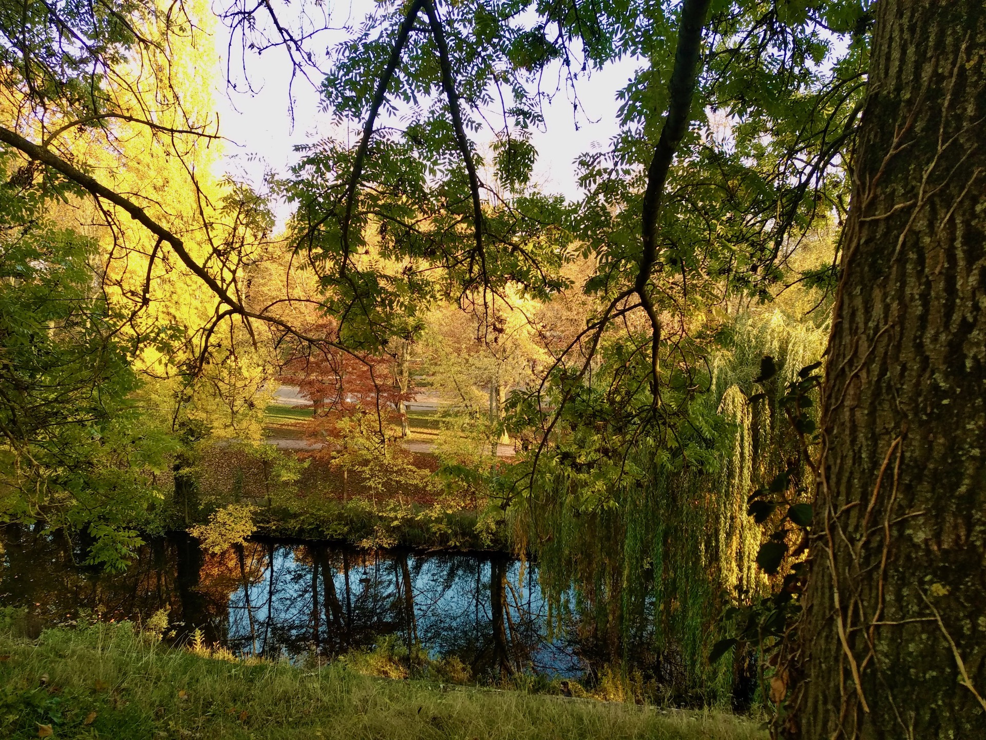 Parc de la citadelle