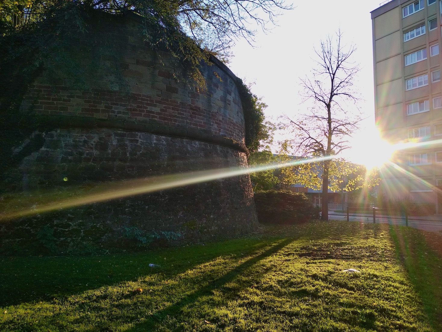 Parc de la citadelle