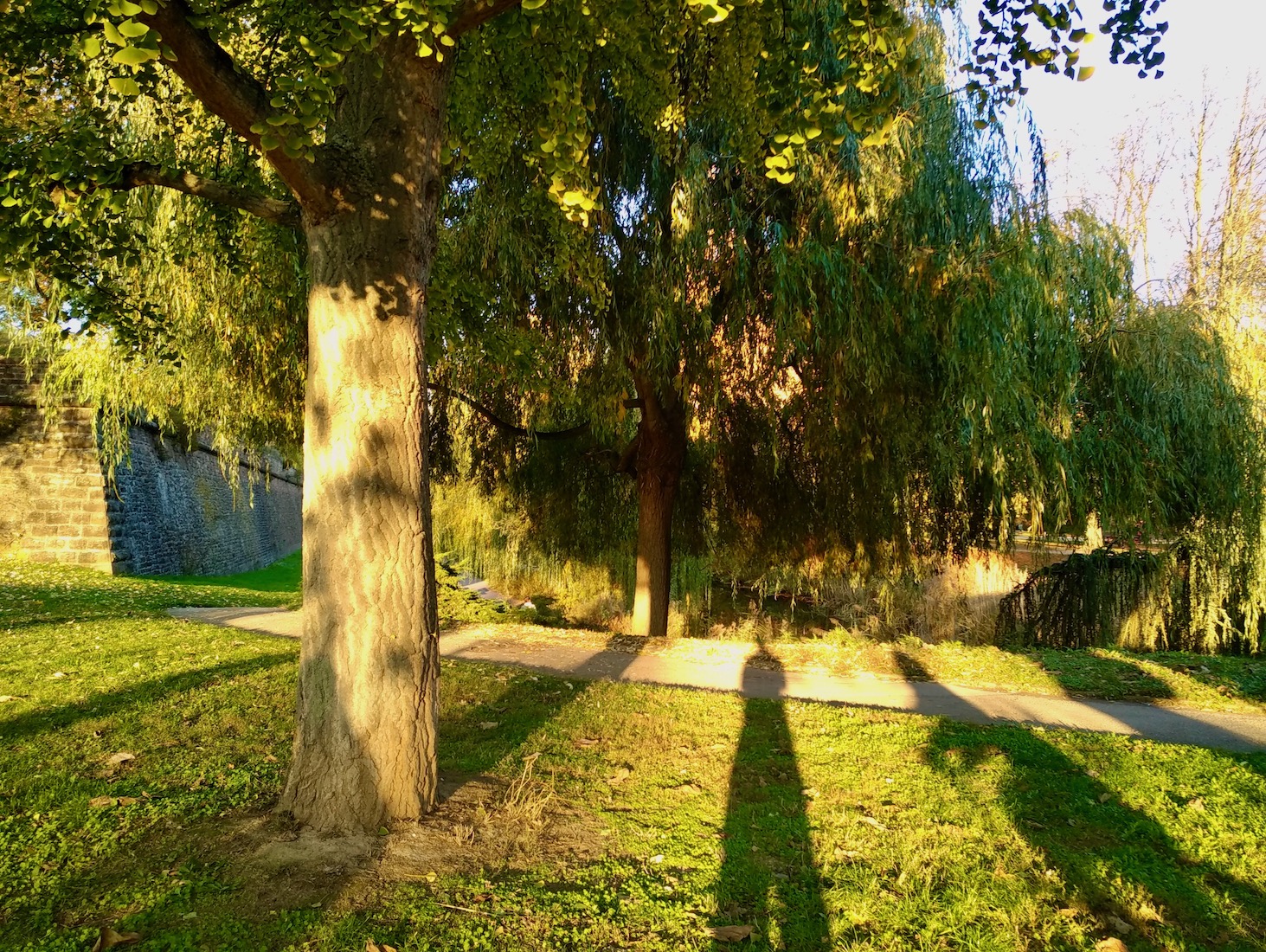 Parc de la citadelle
