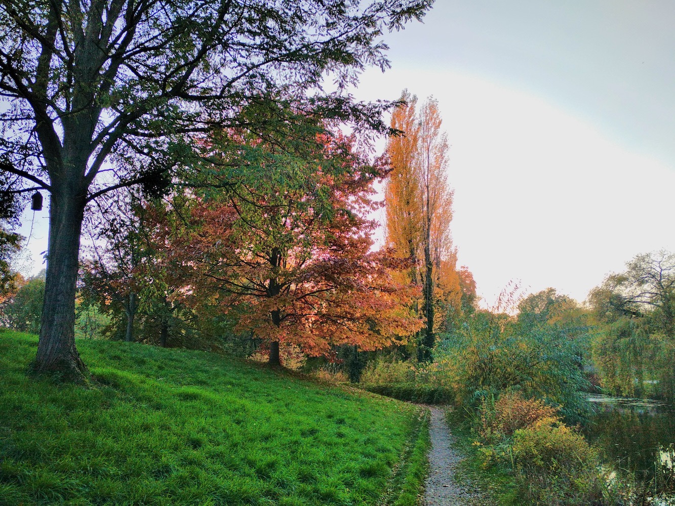 Parc de la citadelle