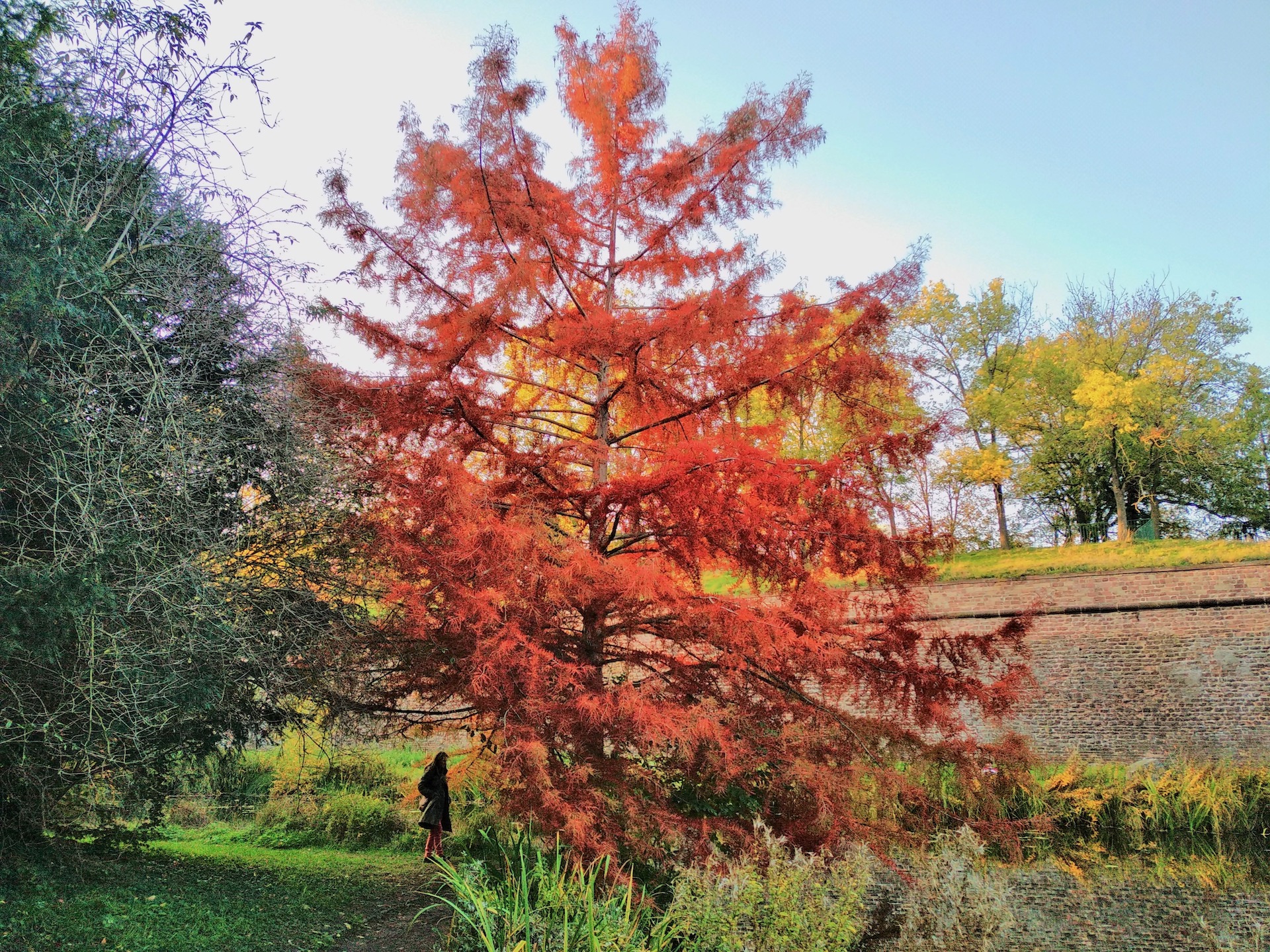 Parc de la citadelle