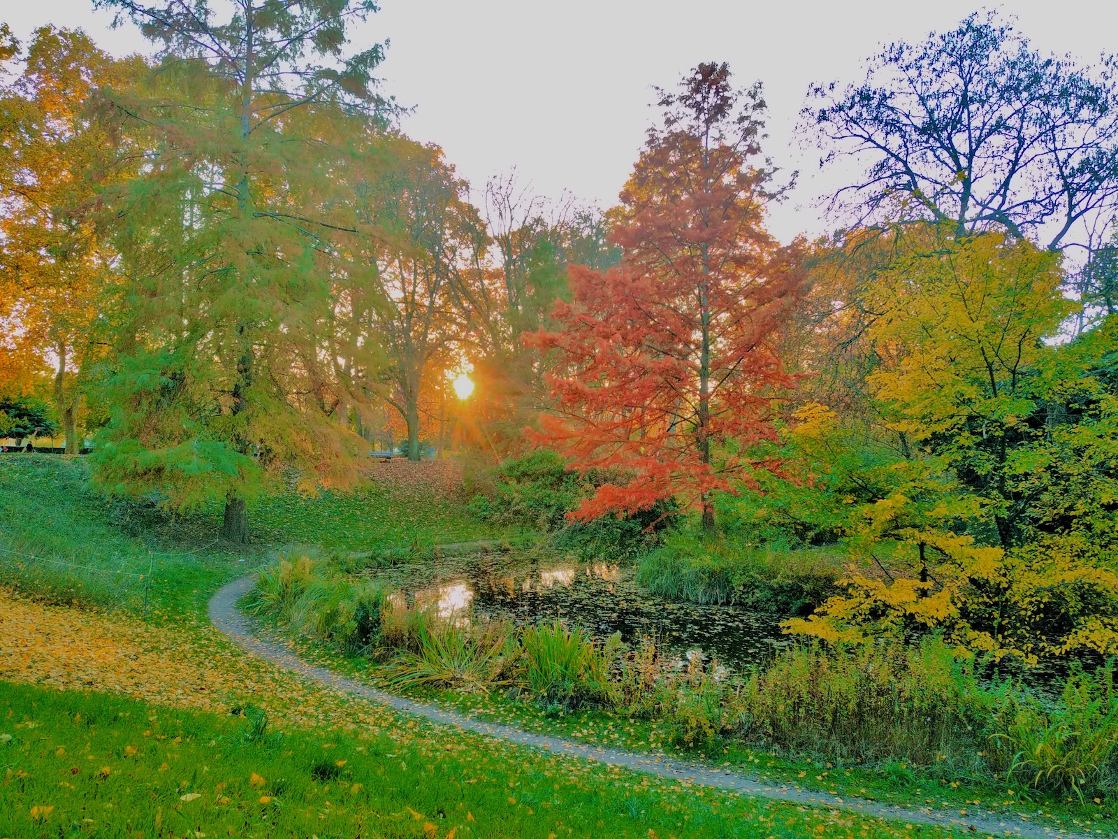 Parc de la citadelle