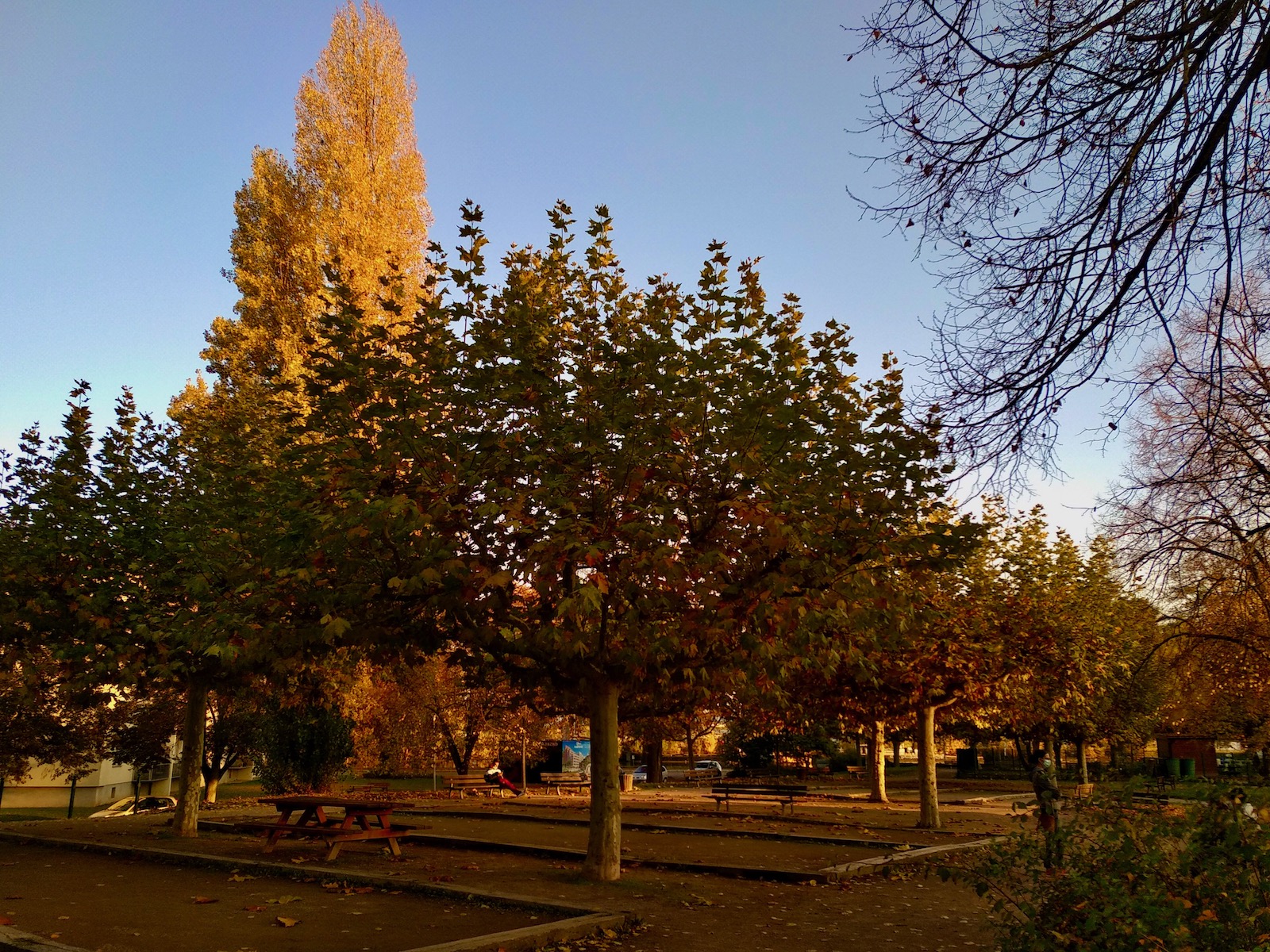 Parc de la citadelle