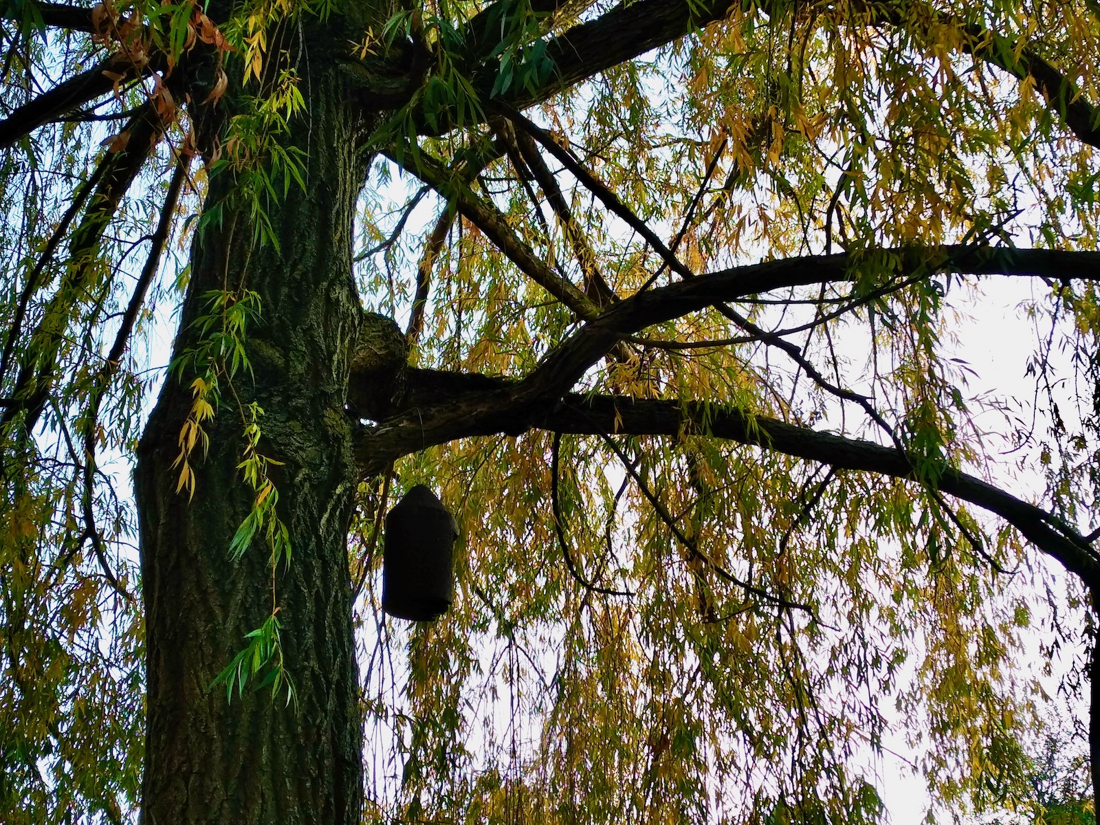 Parc de la citadelle