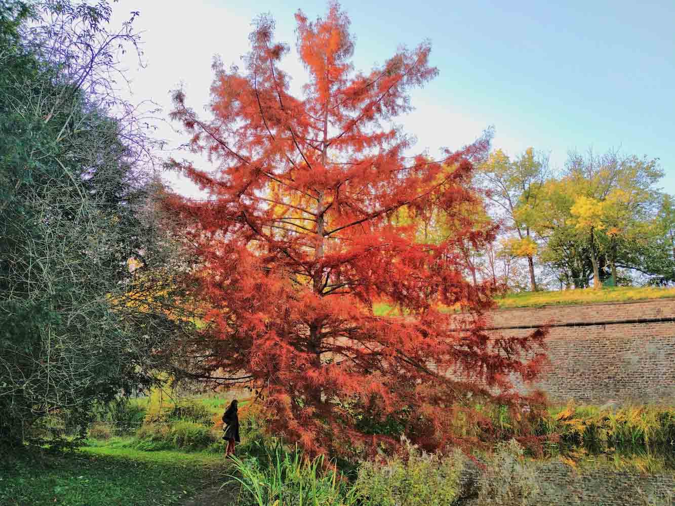 La danse des couleurs