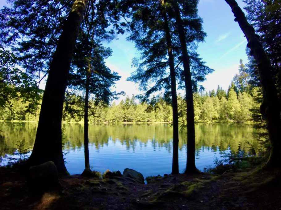 Roadtrip Nancy - Strasbourg III : Un peu de repos avant le col du Donon