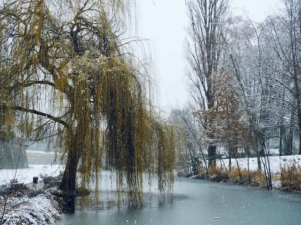 Premier flocon sur Strasbourg