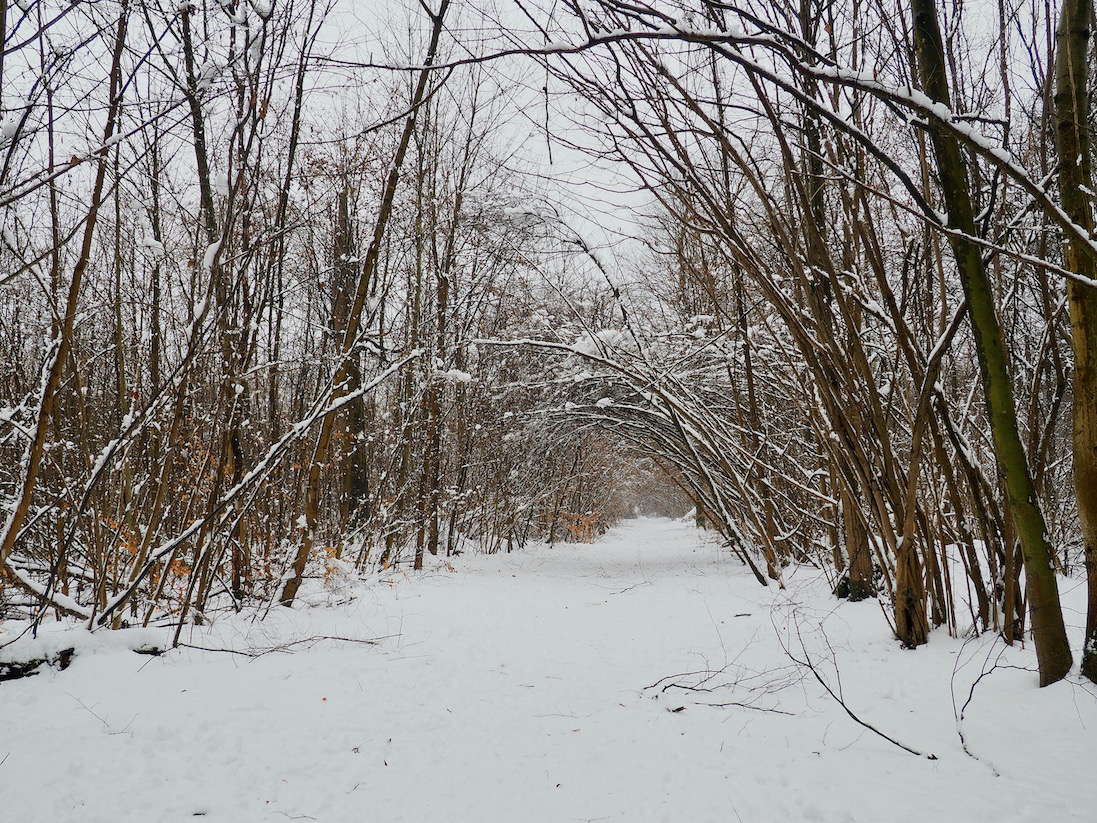 Strasbourg sous la neige
