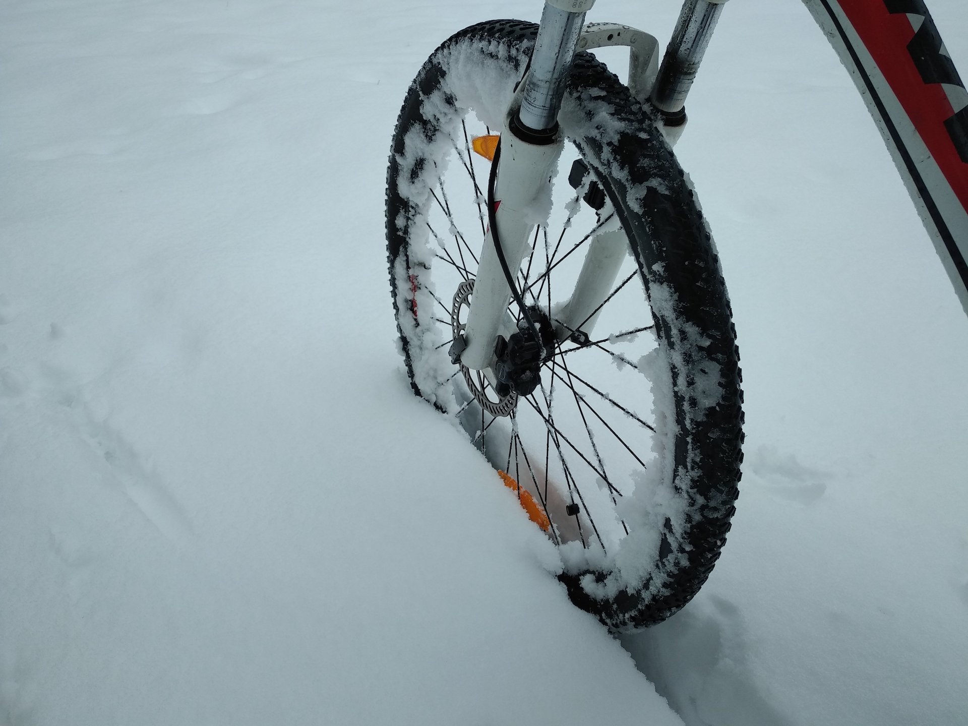 Strasbourg sous la neige