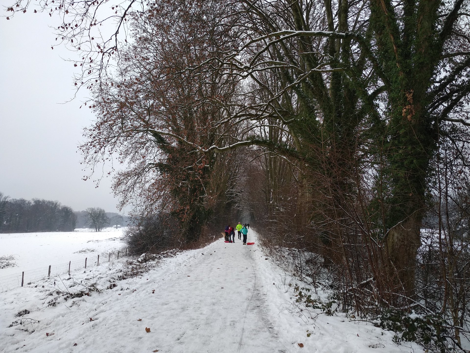 Strasbourg sous la neige