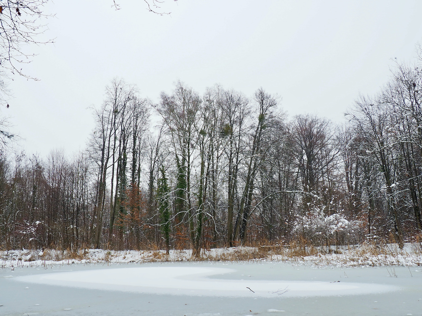 Strasbourg sous la neige