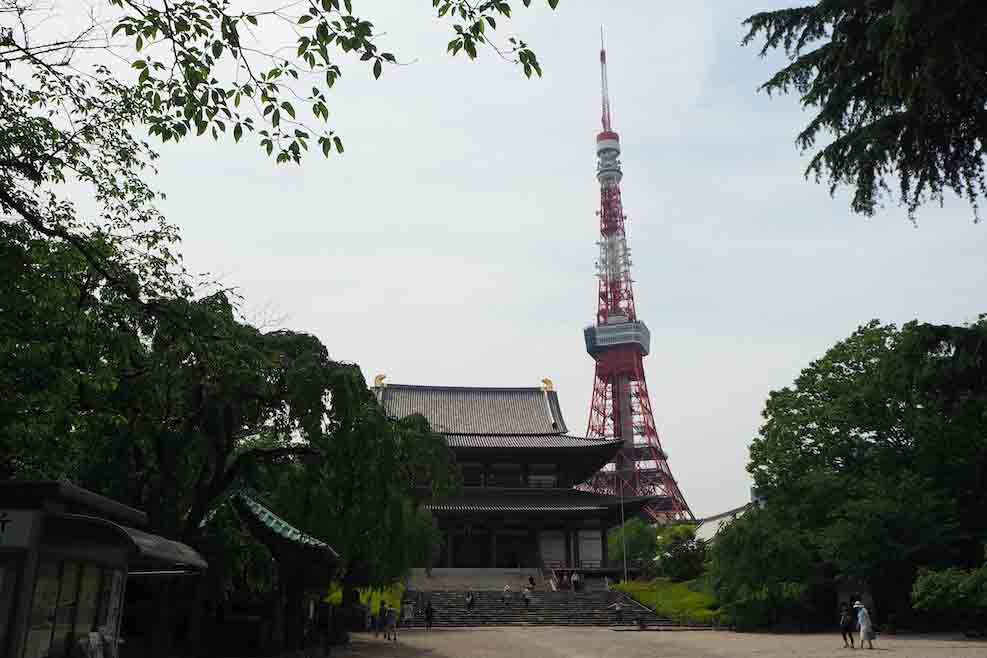 Tokyo Tower - A One Piece Story